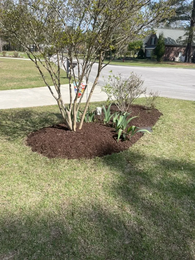 Top-rated landscaping services experts serving Grantsboro, NC - Carolina Cuts and More