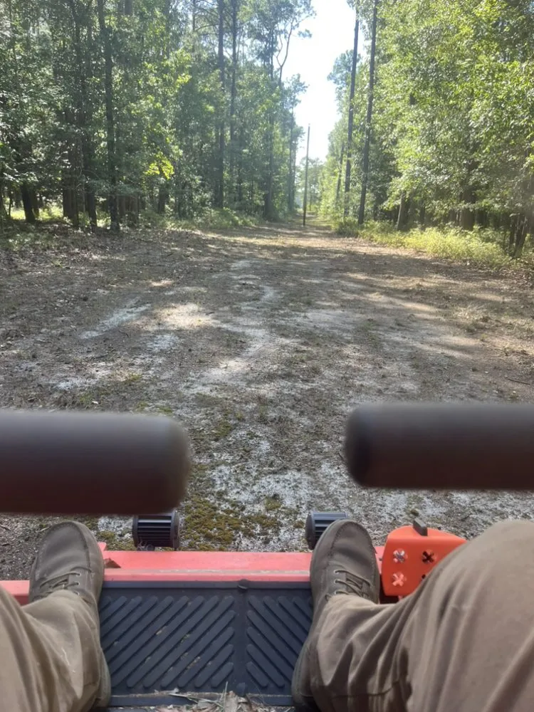 Professional lawn care service for outdoor upgrades in Grantsboro, NC by Carolina Cuts and More