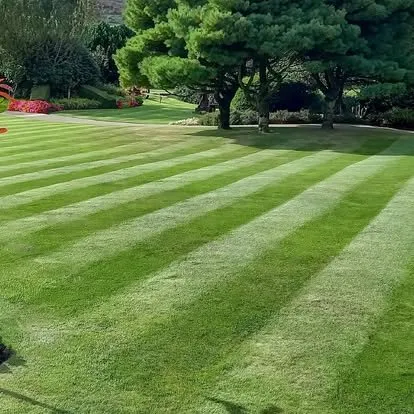 Local landscape installation for year-round maintenance in Grantsboro, NC by Carolina Cuts and More