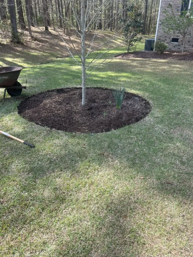 Local yard maintenance with custom design across Grantsboro, NC - Carolina Cuts and More
