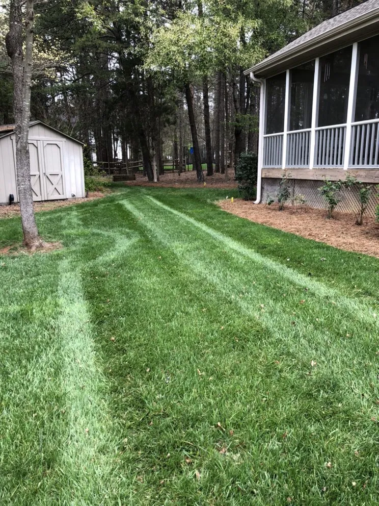 Local lawn care service in Monroe, NC - Carolina Cuts
