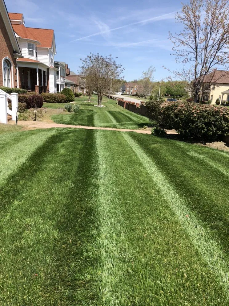 Local landscape design experts serving Monroe, NC - Carolina Cuts