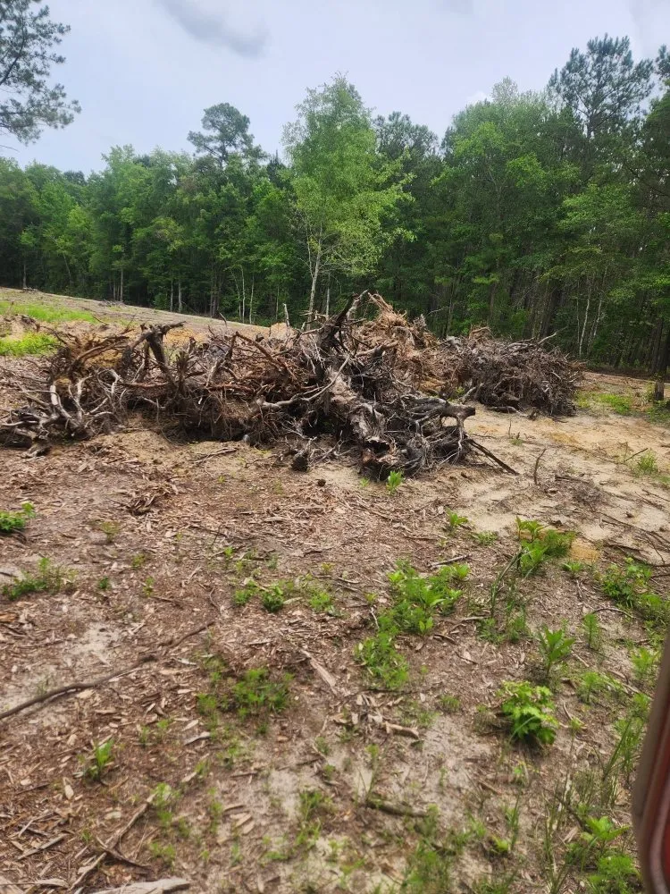 Custom lawn mowing service with custom design in Effingham, SC by Carolina Eastern Property Services