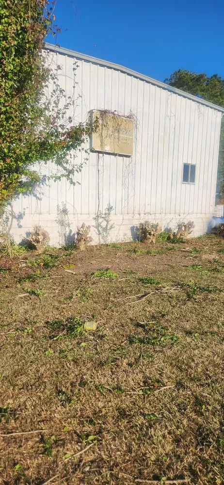 Professional yard cleanup service for homes across Effingham, SC - Carolina Eastern Property Services