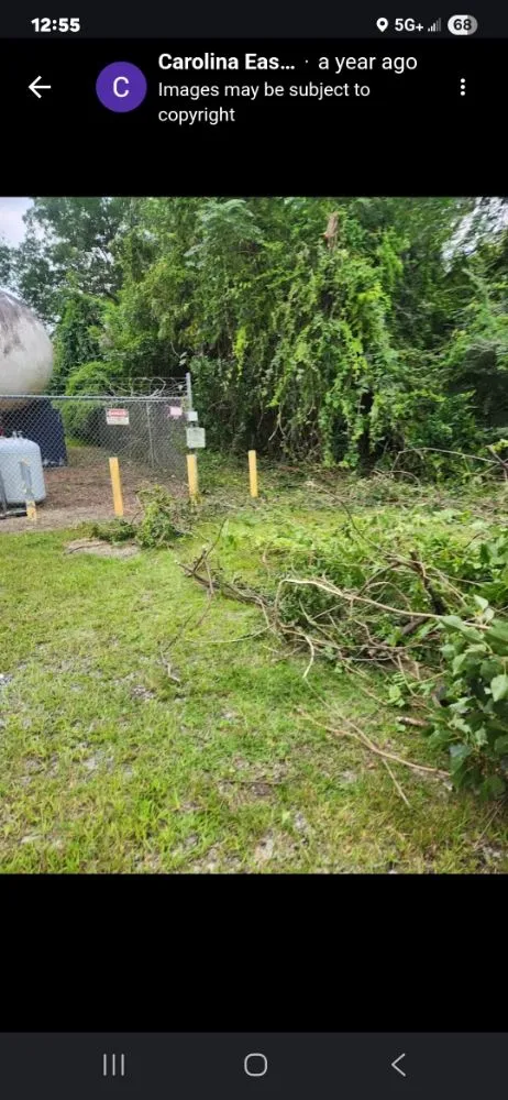 Expert outdoor landscaping with custom design across Effingham, SC - Carolina Eastern Property Services