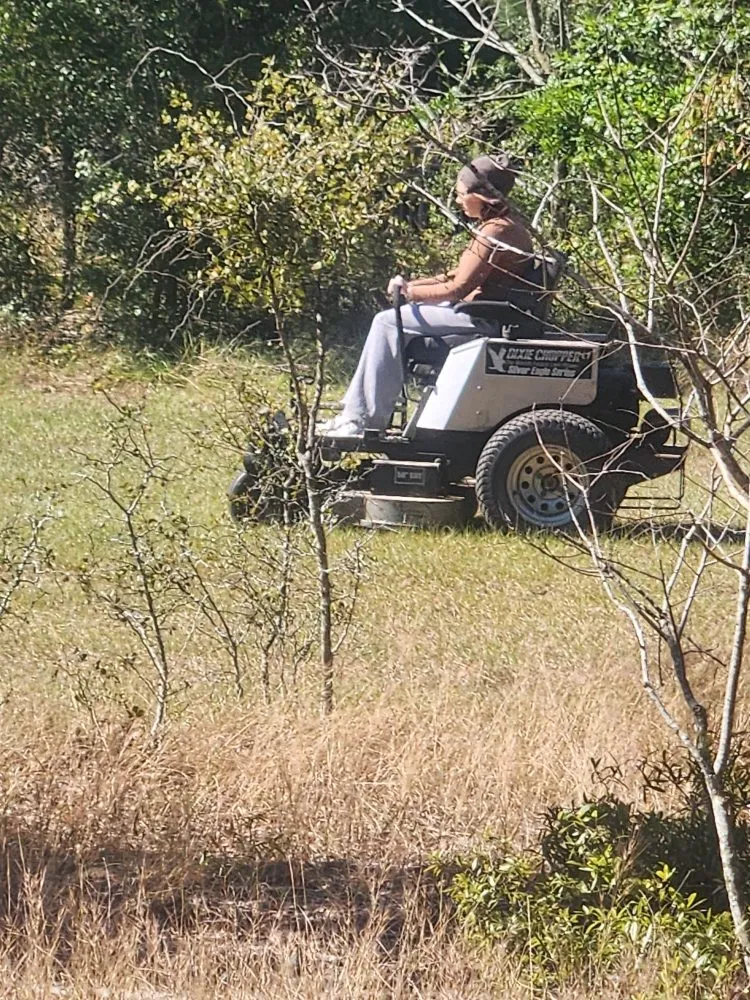 Professional residential landscaping in Effingham, SC - Carolina Eastern Property Services