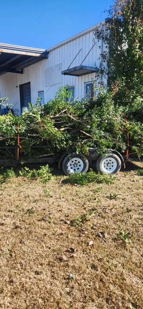 Affordable landscape design experts serving Effingham, SC - Carolina Eastern Property Services