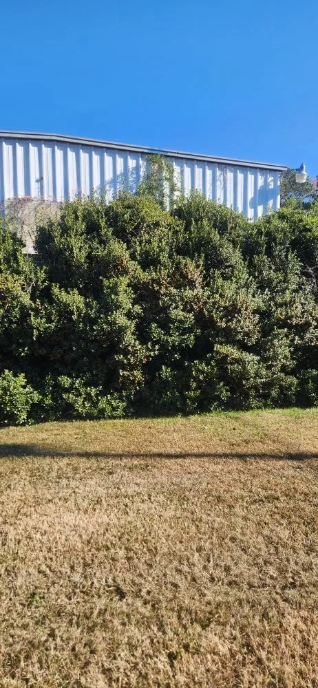 Expert landscape design in Effingham, SC - Carolina Eastern Property Services