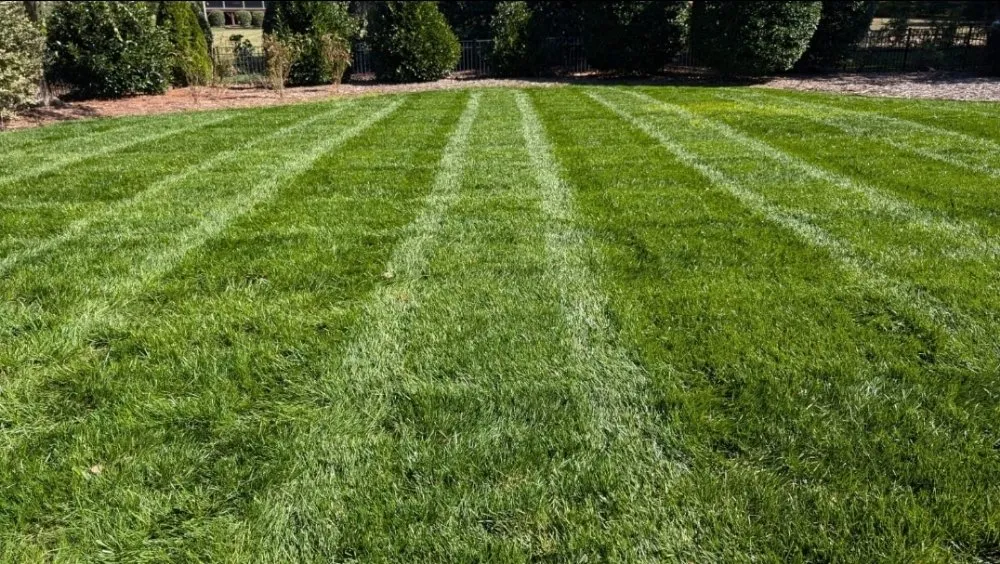 Expert lawn mowing service in Charlotte, NC by Carolina Family Yard Pros