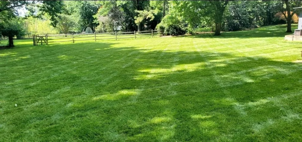 Affordable landscape design for residential properties across Charlotte, NC - Carolina Family Yard Pros