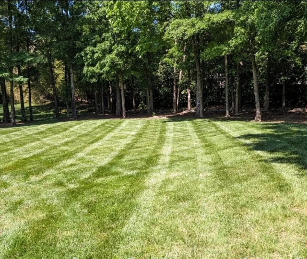 Expert landscaping services for homes across Charlotte, NC - Carolina Family Yard Pros