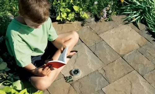 Trusted landscaping services in Rock Hill, SC by Carolina Fresh Farms