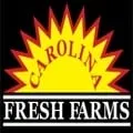 Top-rated outdoor landscaping with custom design across Rock Hill, SC - Carolina Fresh Farms