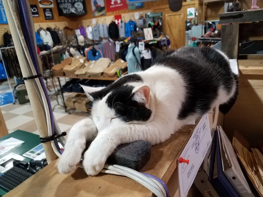 Affordable lawn care service experts serving Rock Hill, SC - Carolina Fresh Farms