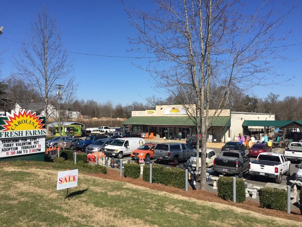 Professional landscape design in Rock Hill, SC by Carolina Fresh Farms