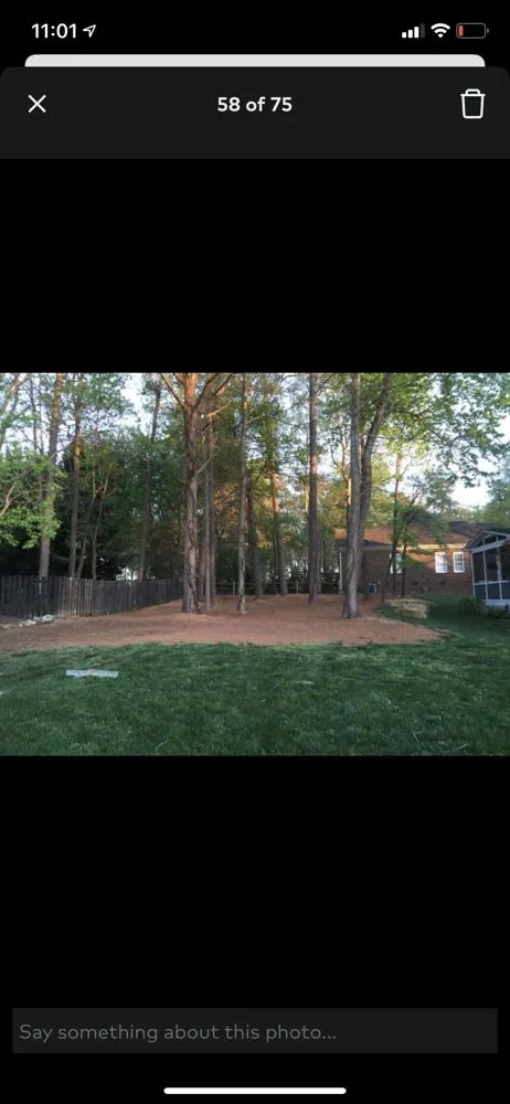 Affordable outdoor landscaping for residential properties across Monroe, NC - Carolina Futurescapes