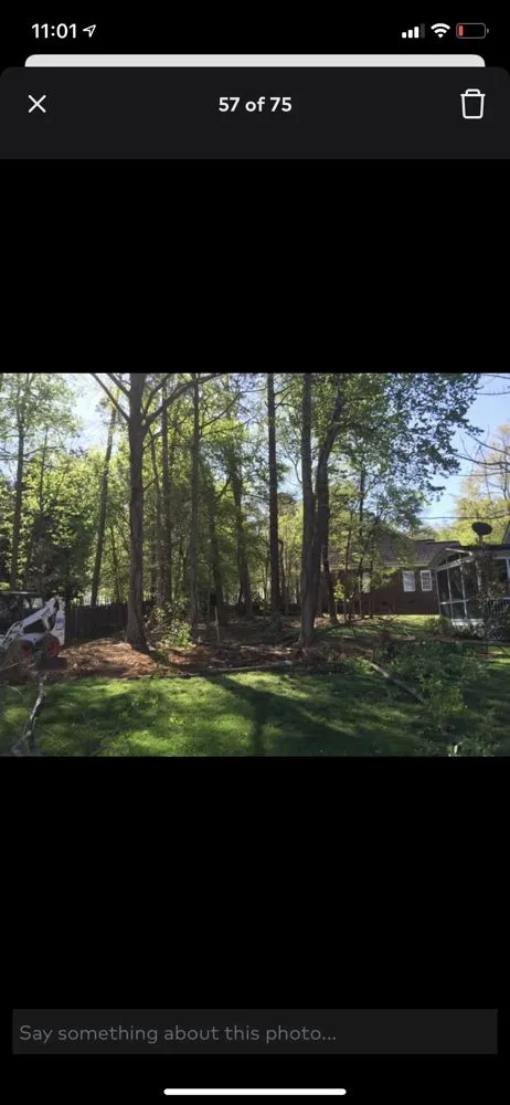 Affordable residential landscaping near you across Monroe, NC - Carolina Futurescapes