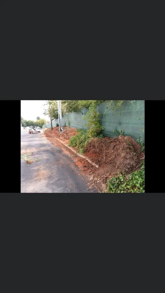 Affordable residential landscaping experts serving Monroe, NC - Carolina Futurescapes