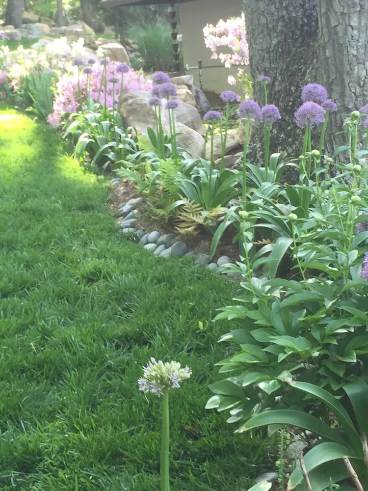 Trusted garden landscaping for outdoor upgrades across Durham, NC - Carolina Garden Company