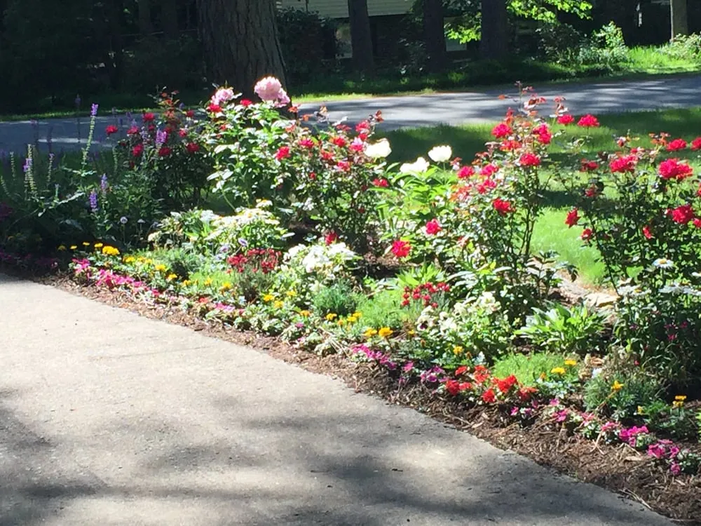 Local lawn care service near you in Durham, NC by Carolina Garden Company