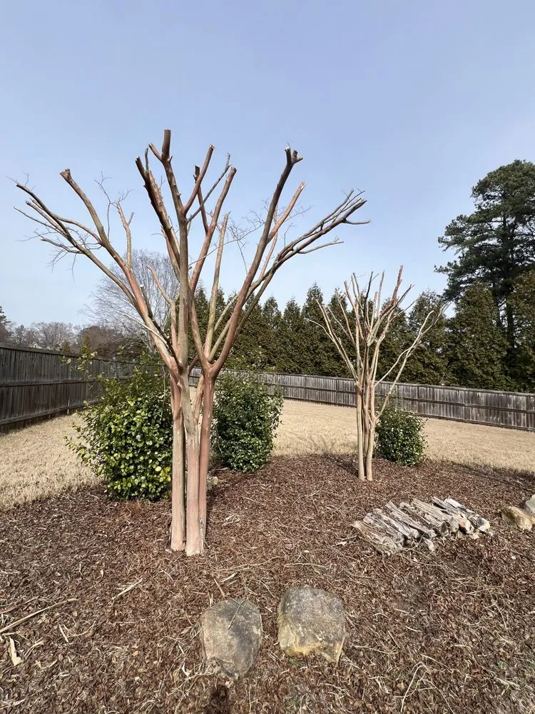 Custom yard maintenance for residential properties across Fuquay-Varina, NC - Carolina Garden Gate