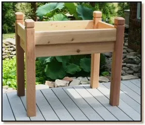 Expert yard maintenance for outdoor upgrades across Fort Mill, SC - Carolina Garden Systems