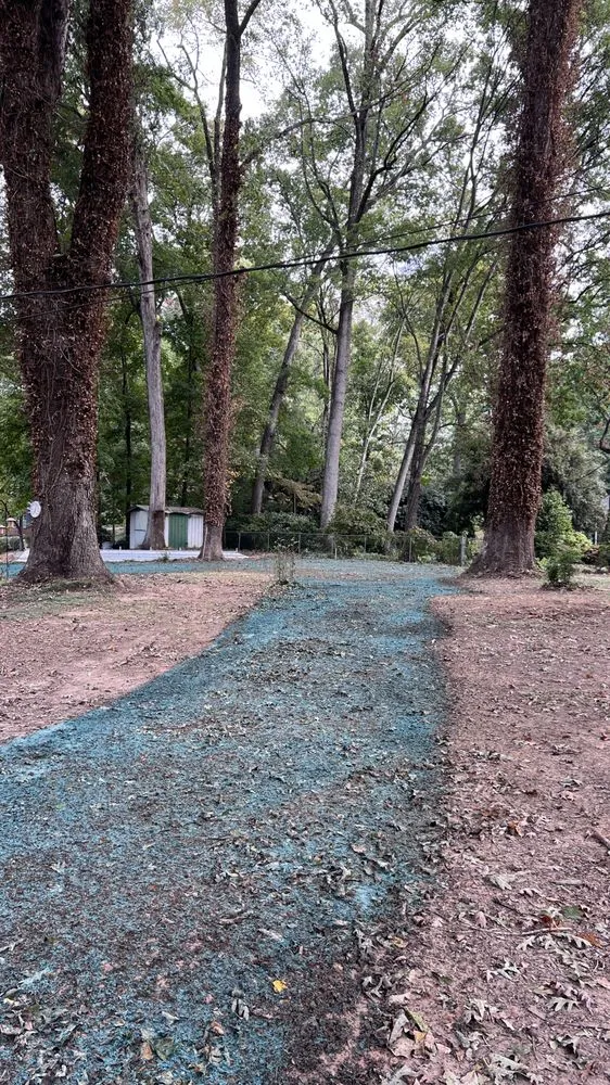 Custom yard cleanup service in Anderson, SC - Carolina Grade