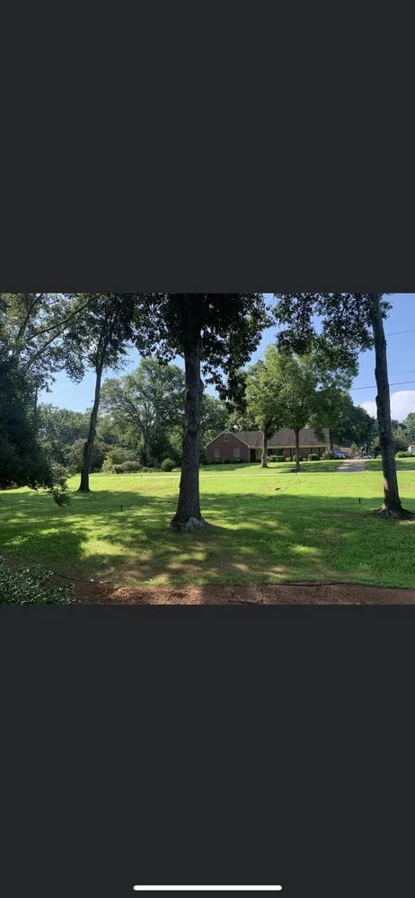 Professional landscape installation with custom design across Anderson, SC - Carolina Grade