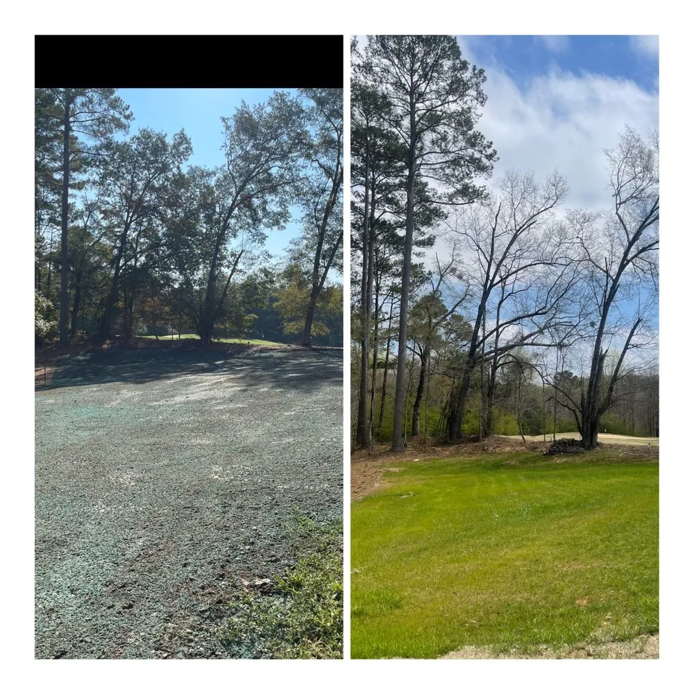 Custom landscape design for residential properties across Anderson, SC - Carolina Grade