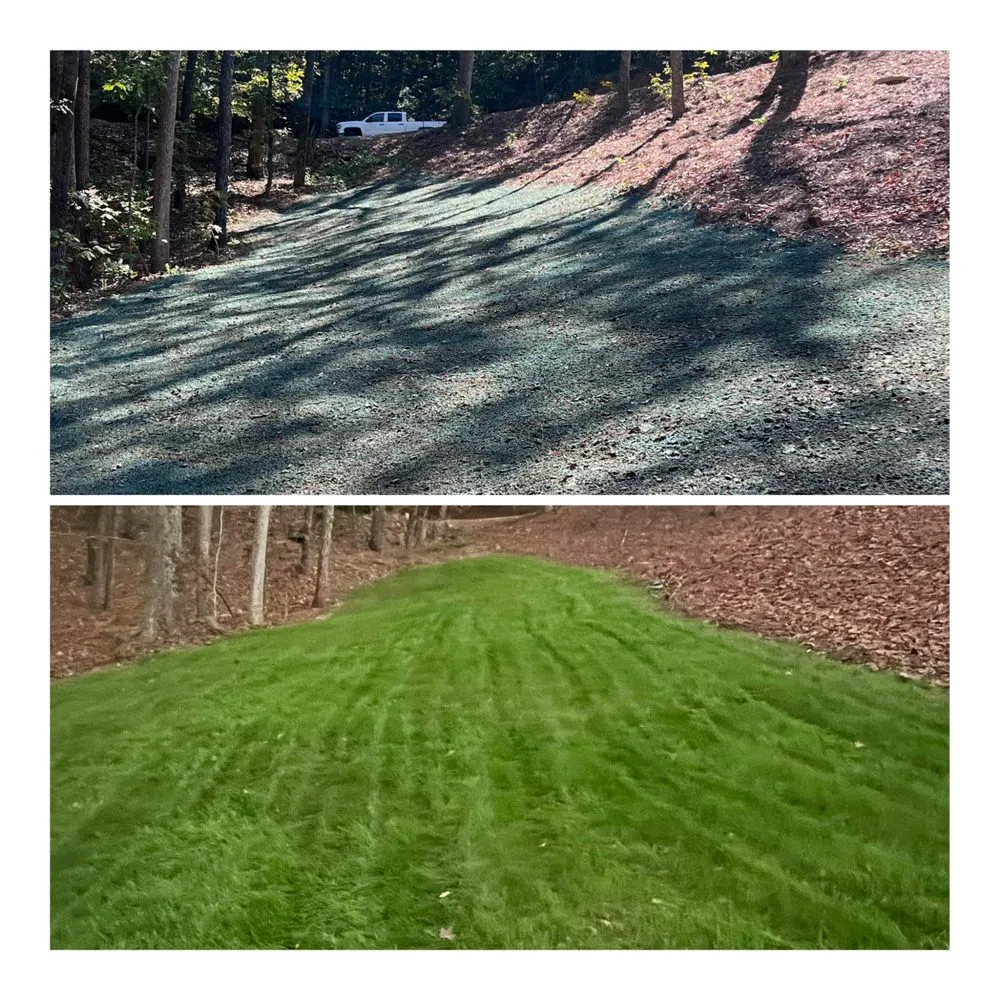 Expert landscape design experts serving Anderson, SC - Carolina Grade