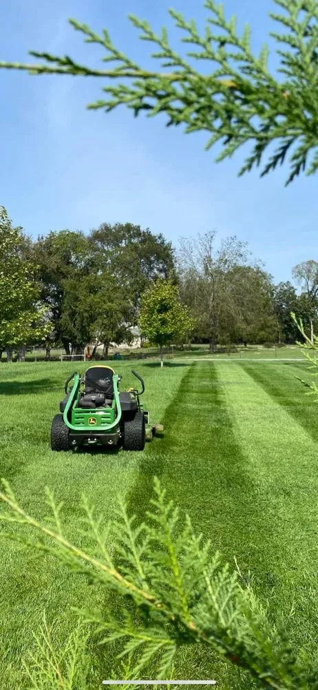 Affordable yard cleanup service in Ladson, SC by Carolina Grass & Garden