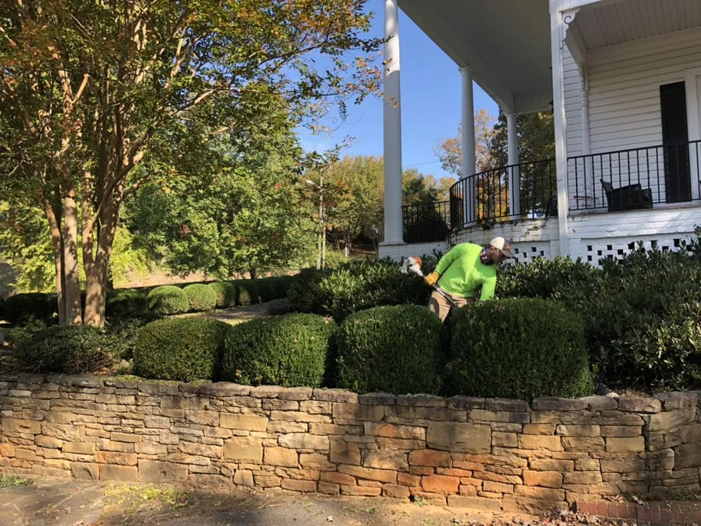 Trusted lawn care service in Valdese, NC by Carolina Grass Guys