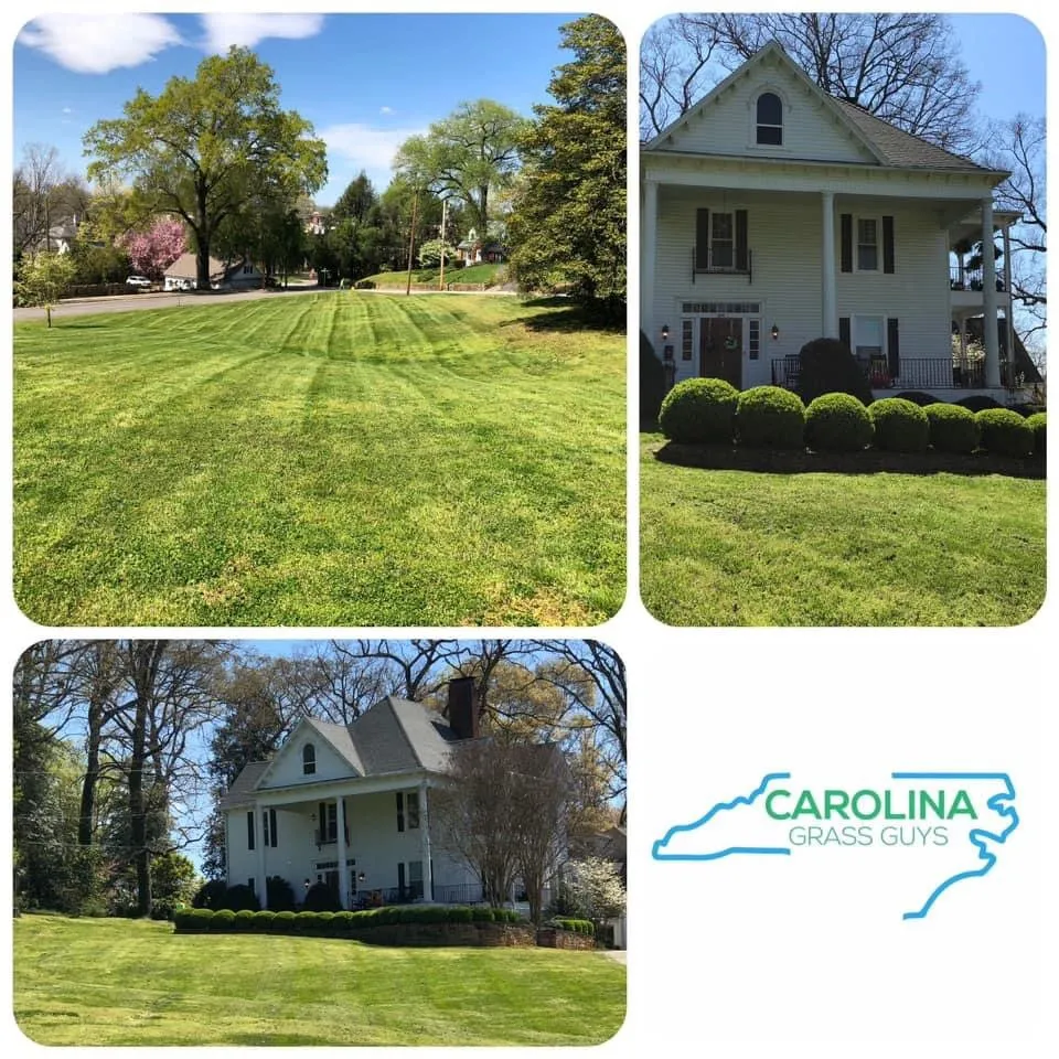 Professional yard cleanup service near you across Valdese, NC - Carolina Grass Guys