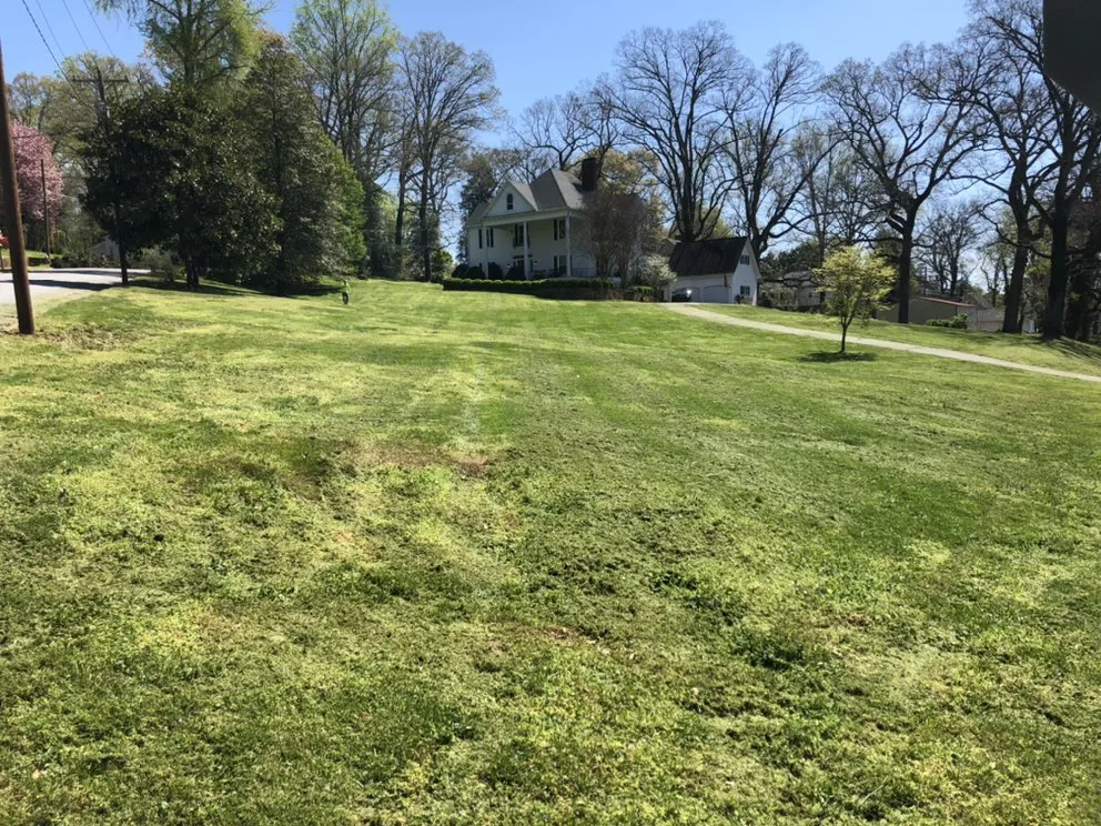 Affordable landscaping services in Valdese, NC by Carolina Grass Guys