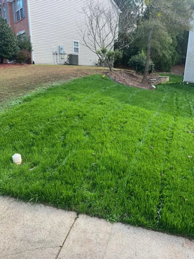 Expert lawn care service in Fuquay-Varina, NC by Carolina Green Landscaping & Lawn Care