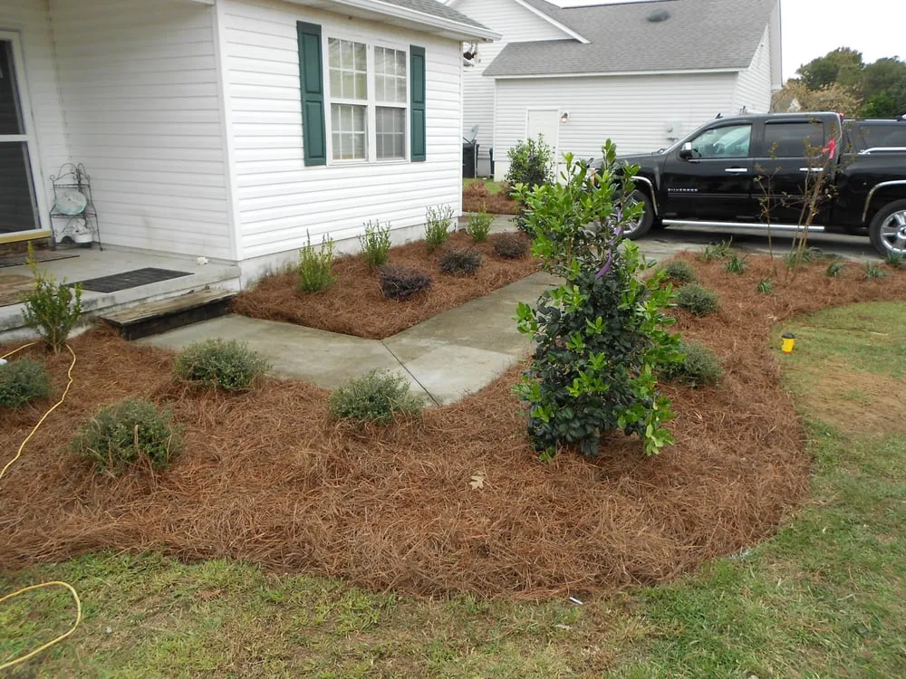 Trusted residential landscaping in Newport, NC by Carolina Green Landscaping