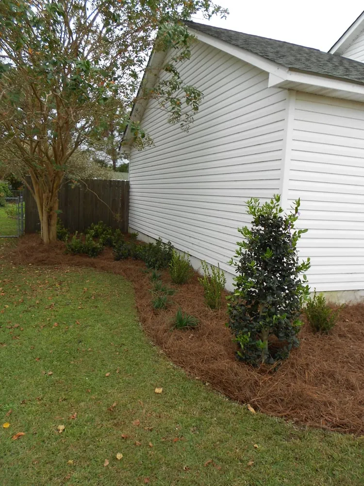 Professional landscape installation in Newport, NC by Carolina Green Landscaping