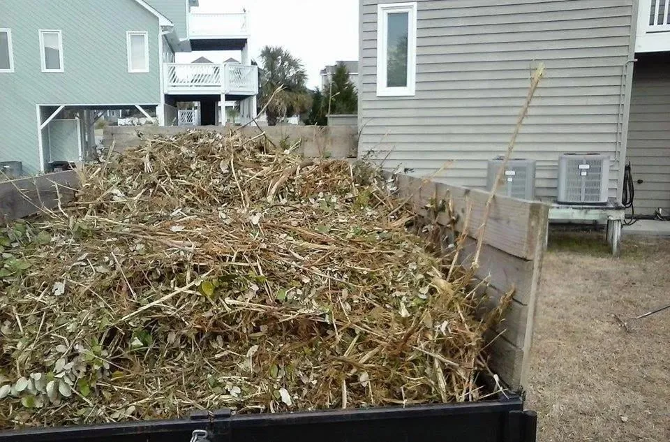 Affordable lawn mowing service for year-round maintenance in Newport, NC by Carolina Green Landscaping