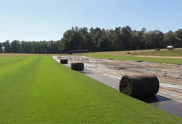 Carolina Green Sod Logo