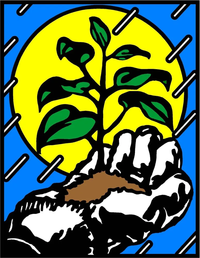 Local landscape installation experts serving Simpsonville, SC - Carolina Greenscape Management Inc.