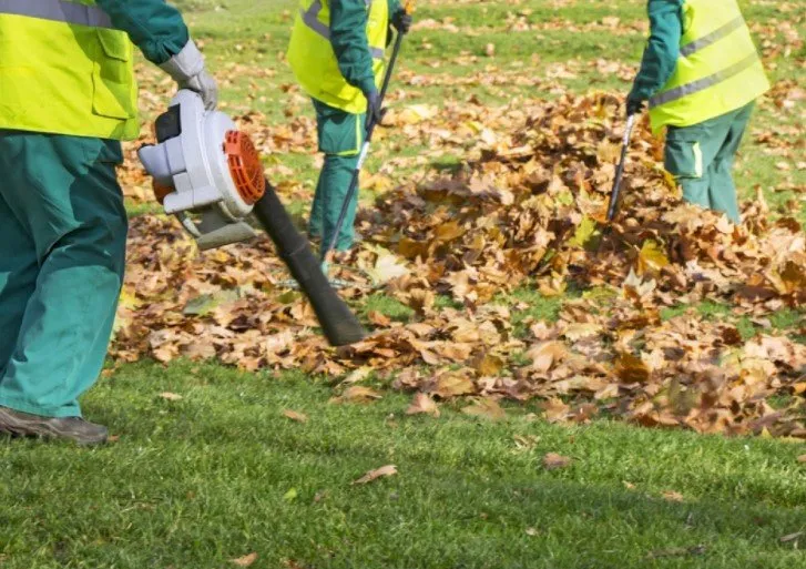 Affordable outdoor landscaping in Salisbury, NC by Carolina Ground Solutions