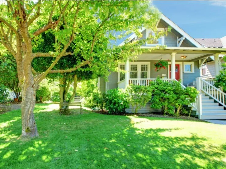 Expert yard cleanup service for year-round maintenance in Salisbury, NC by Carolina Ground Solutions