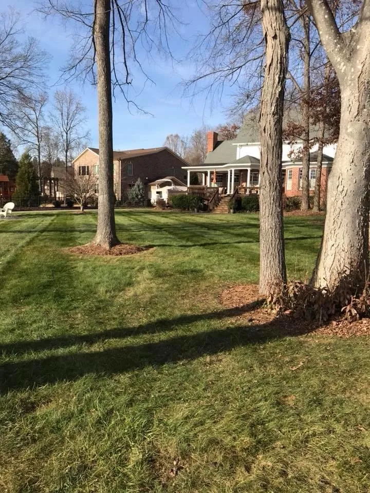 Local landscape design for beautiful yards across Salisbury, NC - Carolina Ground Solutions