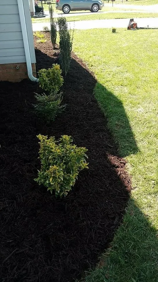 Top-rated garden landscaping near you in Salisbury, NC by Carolina Ground Solutions