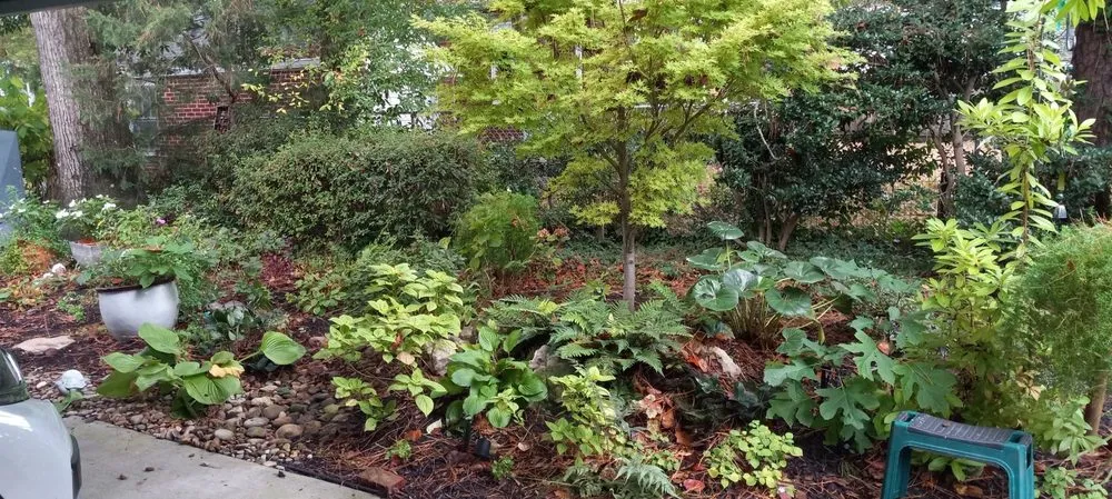 Trusted landscape design with custom design in Columbia, SC by Carolina Hardscapes