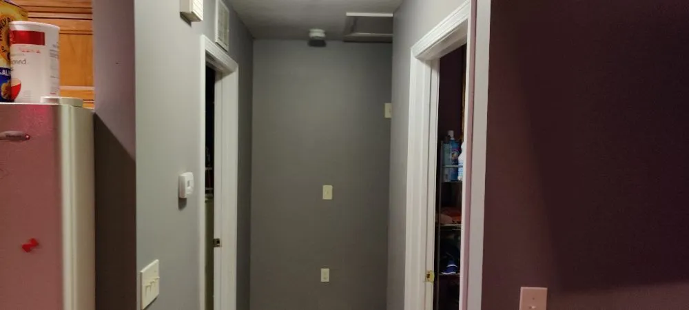 Top-rated yard cleanup service for homes across Asheville, NC - Carolina Home and Lawn