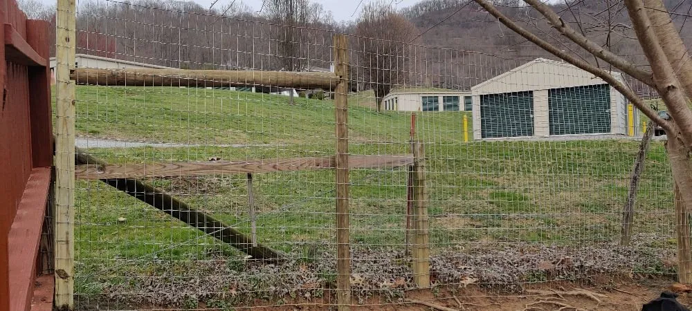 Trusted yard maintenance for beautiful yards across Asheville, NC - Carolina Home and Lawn