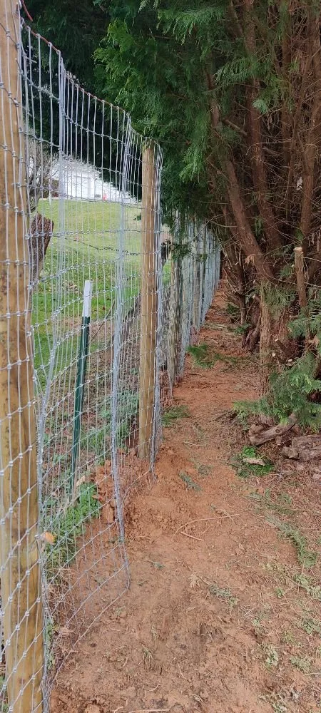 Custom residential landscaping in Asheville, NC by Carolina Home and Lawn