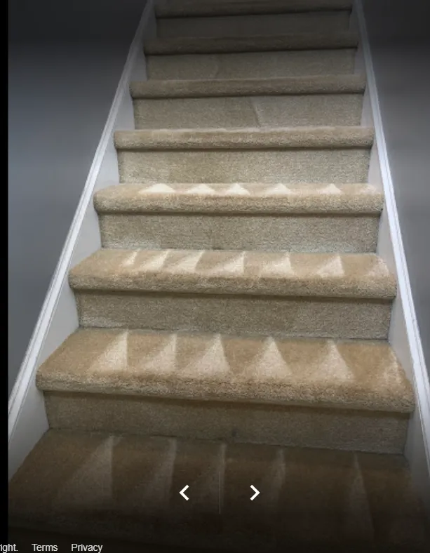 Trusted landscaping services experts serving Columbia, SC - Carolina Kwik Dry