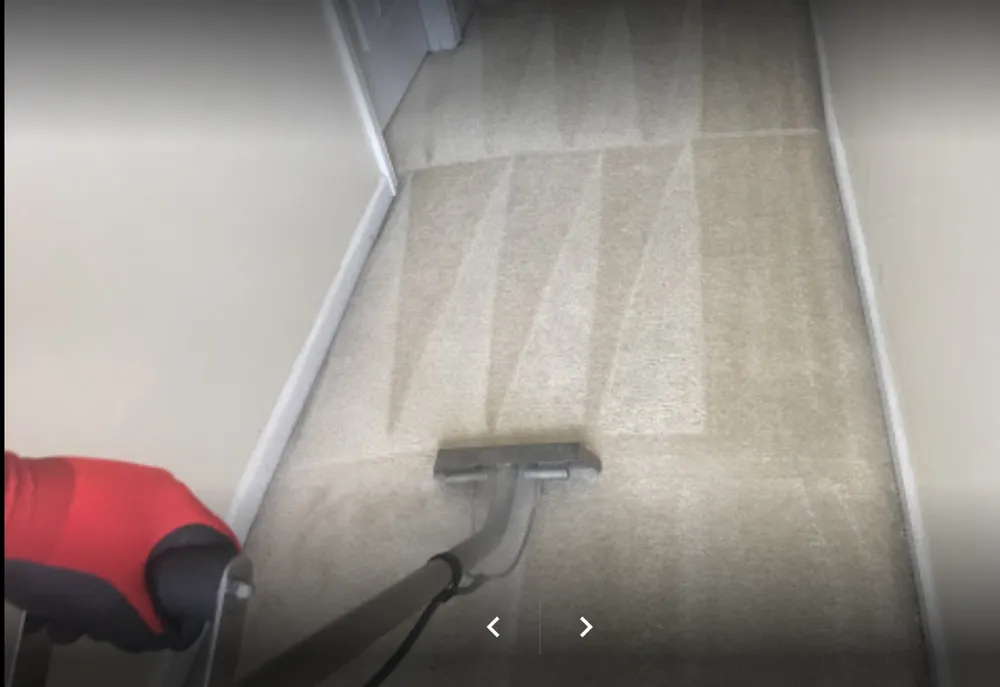 Custom yard maintenance in Columbia, SC - Carolina Kwik Dry